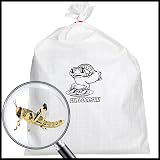 Livefoods4u XL Locust Live Food 100 (35-50mm) for Reptiles view 6