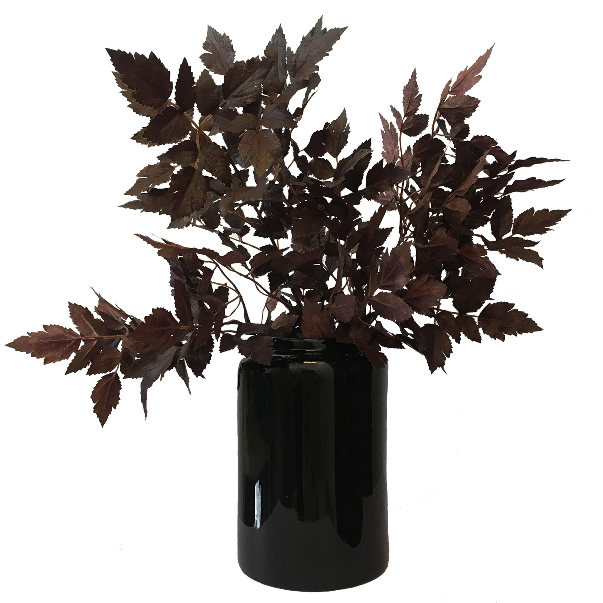 Photo 1 of Anyumir Artificial Cimicifuga Plant Leaf Spray Faux Cimicifuga Stems Artificial Plants Fake Leaves Faux Branchs Fake Leafs Fall Decor Stems for Vases Wedding Garden Holiday Ornaments (3 Pack,21 Inch)
