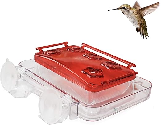 Amazon Com Sherwoodbase Cuboid Insect Proof Window Hummingbird