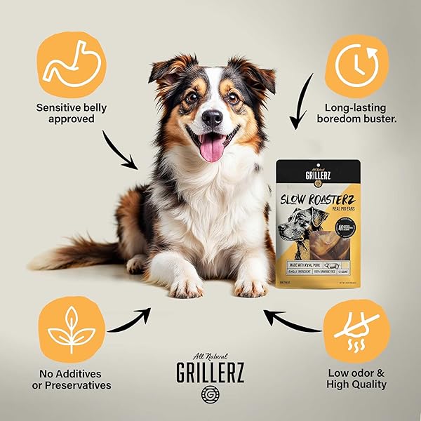 SCOTT PET GRILLERZ PIG EARS FOR DOGS, 12 COUNT, NATURAL DOG CHEWS, SINGLE INGREDIENT, HIGH PROTEIN, EASY TO DIGEST, SUPPORTS HEALTHY TEETH, FOR ALL LIFE STAGES