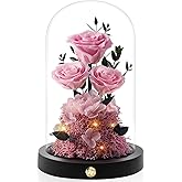 DENIMOMO Valentines Day Flowers Roses Gifts for Women Her,Forever Preserved Rose in Glass Dome, Valentines Anniversary Birthday Real Roses Gifts for Wife Women Girlfriend Best Friend/Pink