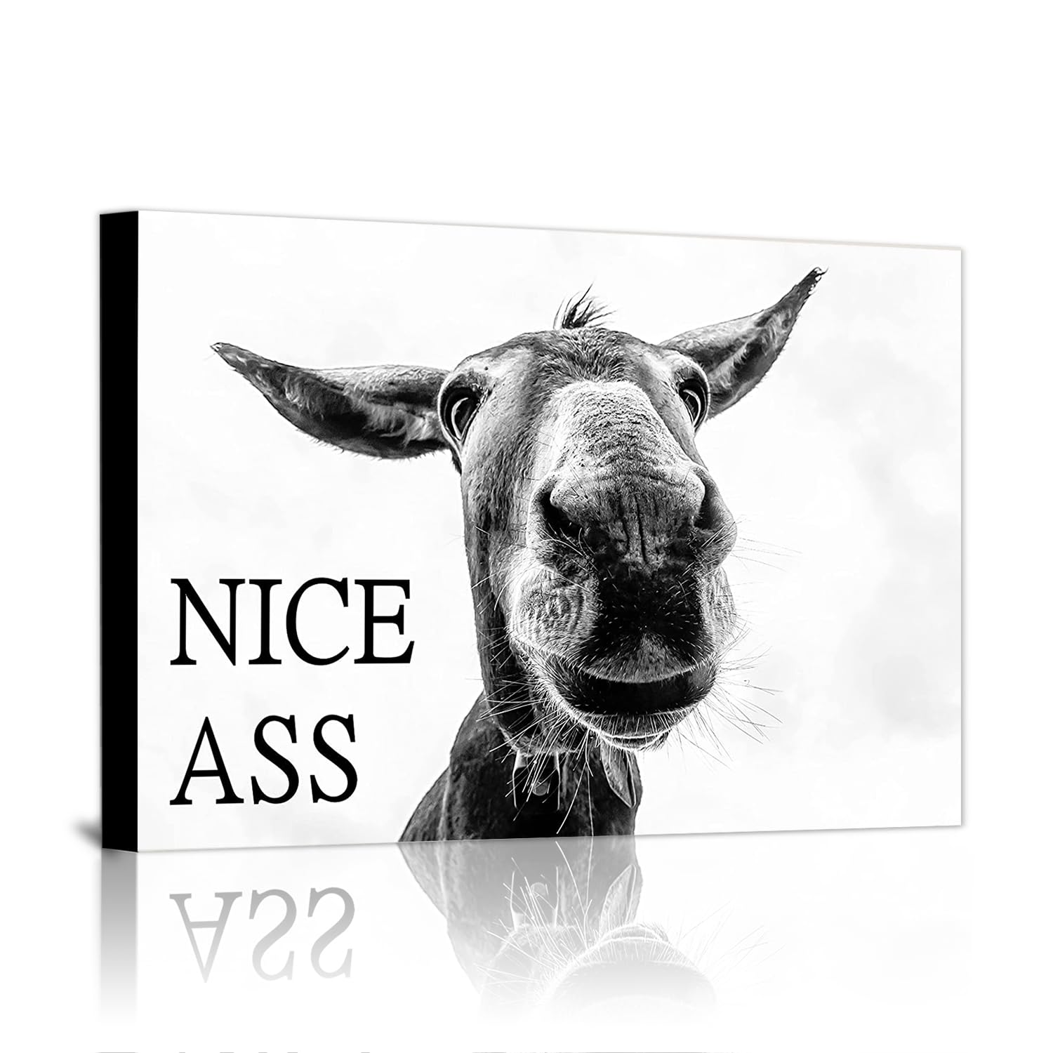 JNAOZI Bathroom Black and White Canvas Painting, Black White Vintage Canvas Pictures, Bathtub Animal Print Canvas Painting Poster, Without Frame (F10, 40 x 60 cm x 1)