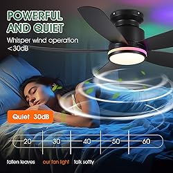 Ceiling Fans with RGB Lights and Remote/APP