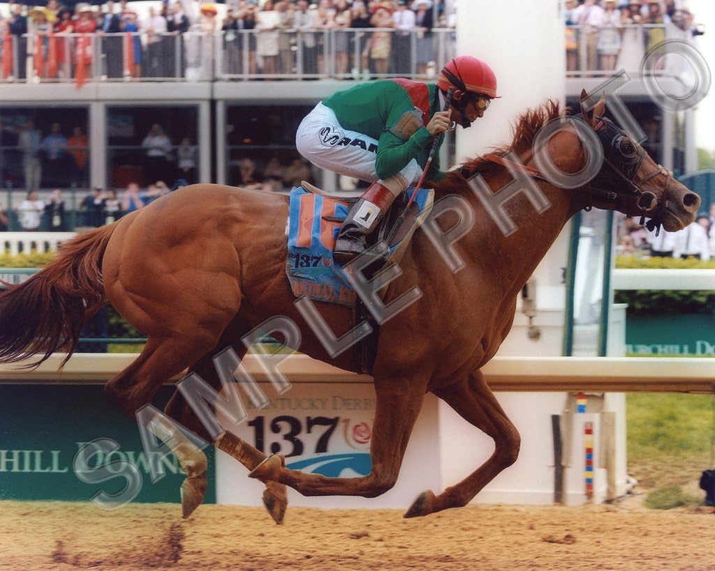 Photographs - SPORTSPHOTOSUSA Animal Kingdom 2011 Kentucky Derby Champion Winner John R. Velazquez 16x20 Photo