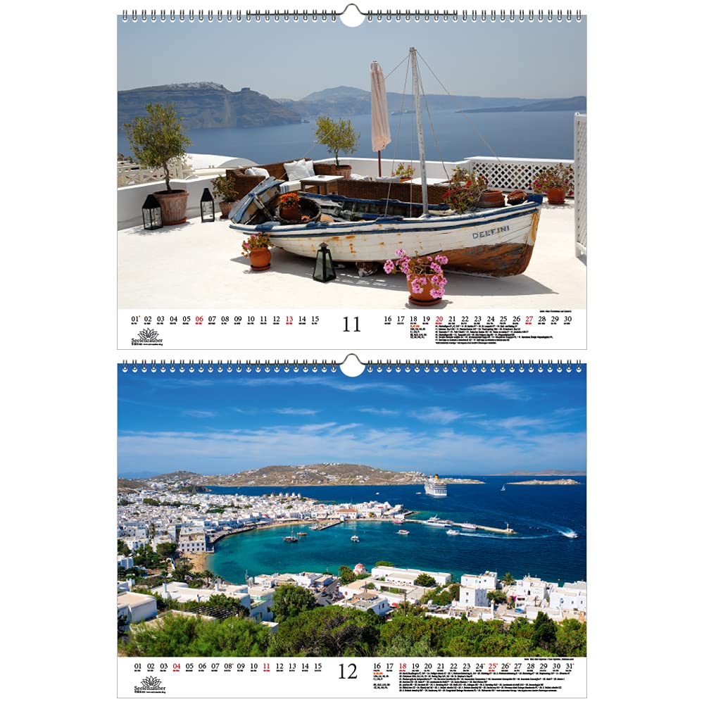 View 7