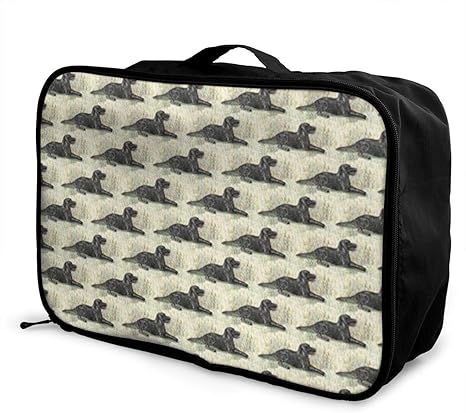 men's personal carry on bag