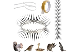 Oryvzor Stainless Steel Bird Spikes for Pigeons and Small Birds, no More Bird nests and Bird droppings, Suitable for roof windowsills Fences Walls barns, 1 Strip Covers 10 feet