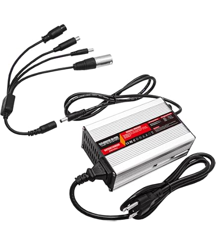 Amazon.com: WAOUKS 58.8V 4A Li-ion Battery Charger with 5 Plugs