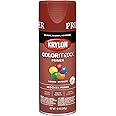12 oz Krylon K05583007 Red Oxide COLORmaxx Paint & Primer Spray Paint, Primer