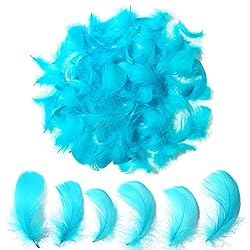 300pcs Turquoise Feathers 2-3 Inches Bulk Feathers