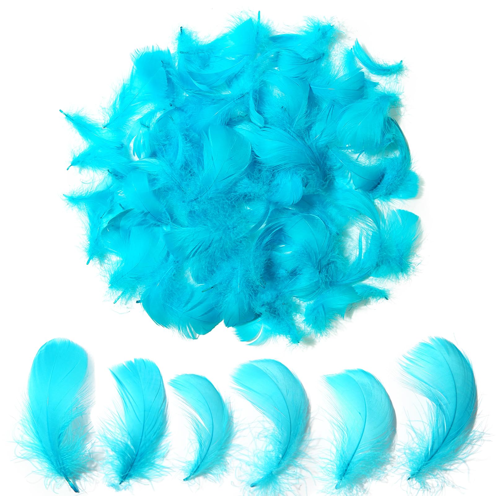 300pcs Turquoise Feathers 2-3 Inches Bulk Feathers