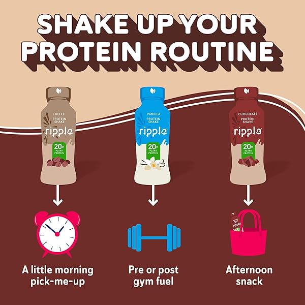 RIPPLE VEGAN PROTEIN SHAKE | CHOCOLATE | 20G NUTRITIOUS PLANT BASED PEA PROTEIN | SHELF STABLE | NO GMOS, SOY, NUT, GLUTEN, LACTOSE | 12 OZ,