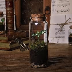 Miukada 150 ml Small Glass Jars with Cork Lids, 2