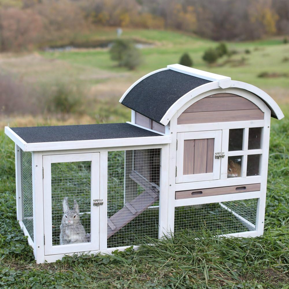 cute rabbit hutch