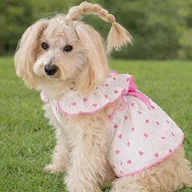 Amazon.com New Releases: The best-selling new & future releases in Dog  Dresses