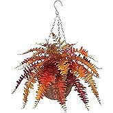 Hollyone Fall Hanging Baskets Small Artificial Fern Orange 21 Leaves Fall Hanging Decor Plant Boston Ferns Silk Plants with Brown Rattan Baskets Outdoors Indoor Fake Fern Autumn Decorations for Home