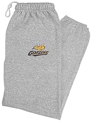 LOGOVISION Webster University Primary Logo Mens