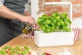 Click and Grow Smart Garden Indoor Herb Kit with 3 Basil Pods White view 2