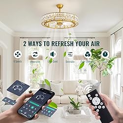 Siljoy 31.5'' Caged Ceiling Fan with Light and