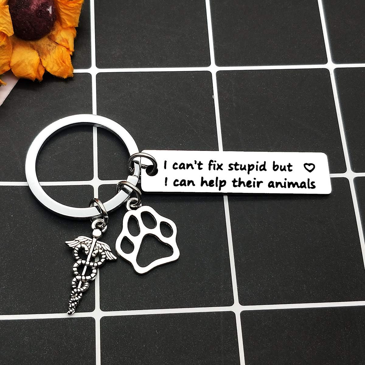 Veterinarian Keyring Birthday Gifts for Veterinarian Vet Tech Appreciation Keyring Gifts I Can Help Their Animals Keychain Veterinary Technician Gifts Veterinarian Medicine Graduation Gift - Image 4