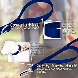 Country Brook Petz - Deluxe Nylon Dog Leash with