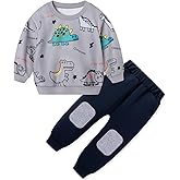 Toddler Boy Clothes Little Dinosaur Printed Long Sleeve Tops and Pants 2pcs Fall Winter Sweatsuit for 2-6 Years
