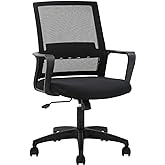 FDW Office Chair Ergonomic Desk Chair Mid-Back Mesh Computer Chair Lumbar Support Comfortable Executive Adjustable Rolling Swivel Task Chair with Armrests,Black