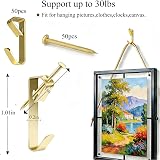 Damogo Heavy Duty Picture Hooks 30LB 100 PCS with Nails Hanging Kit view 2
