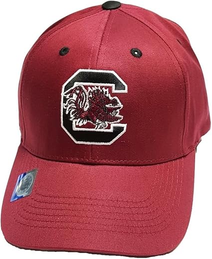south carolina gamecocks hat