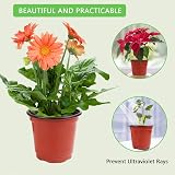 Augshy 40 Pcs 4 Inch Plastic Plant Nursery Pots Red for Seedling Transplanting view 5