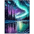 Stamped Cross Stitch Kits for Adults - Aurora Night Landscape Embroidery Kits for Beginners Adults,11 CT Patterns Dimensions Counted Cross Stitch Kits for Adults Arts Craft 12x16 inch