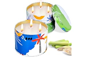 Ofun 26 Oz Citronella Candles Outdoor Decorative, 2 Wick Soy Wax Lemongrass Candle Set, Scented Candle Jar Candle Bulk Summer Camping Candles for Patio, Garden, Balcony, Camping (2 Pack-13Oz/Pack)