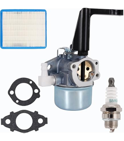 Amazon.com : FitBest Carburetor 697422 696065 for Briggs