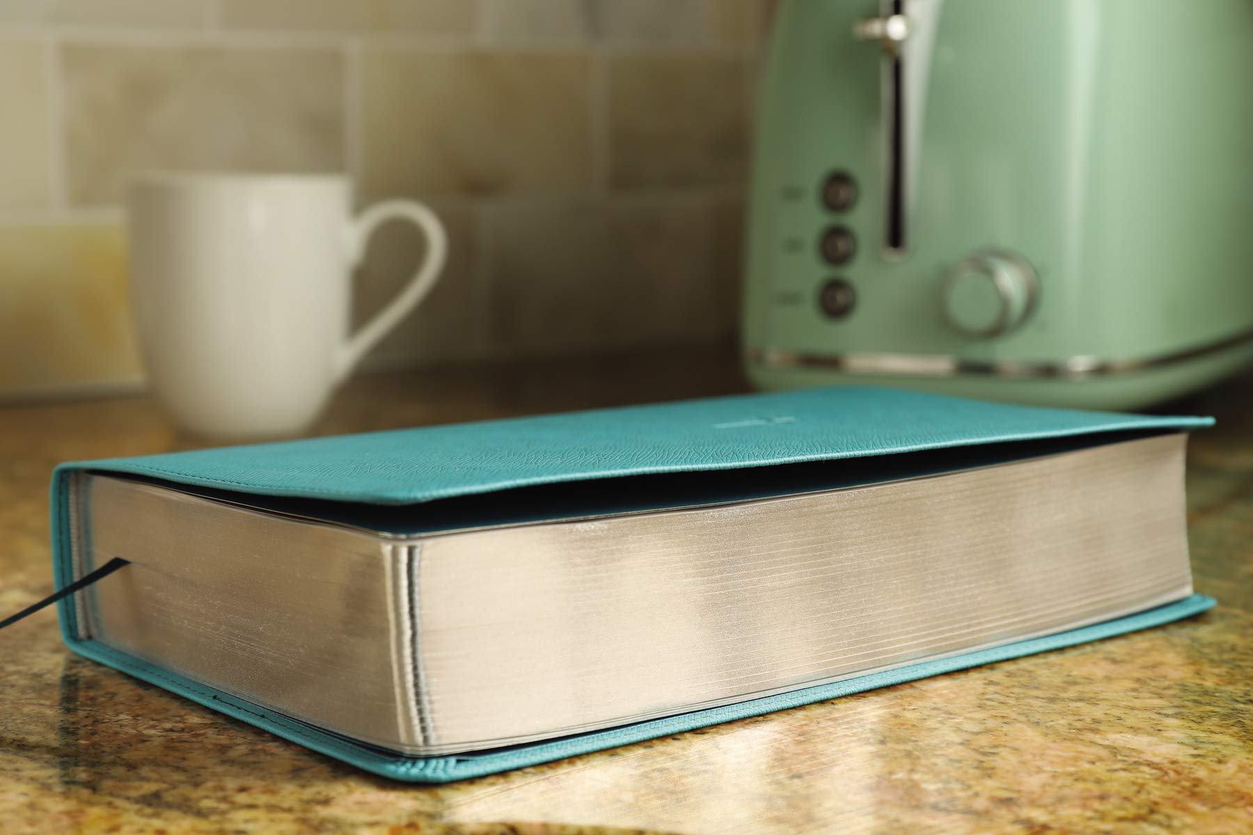 NIV, Foundation Study Bible, Leathersoft, Teal, Red Letter NIV, Foundation Study Bible, Leathersoft, Teal, Red Letter Imitation Leather