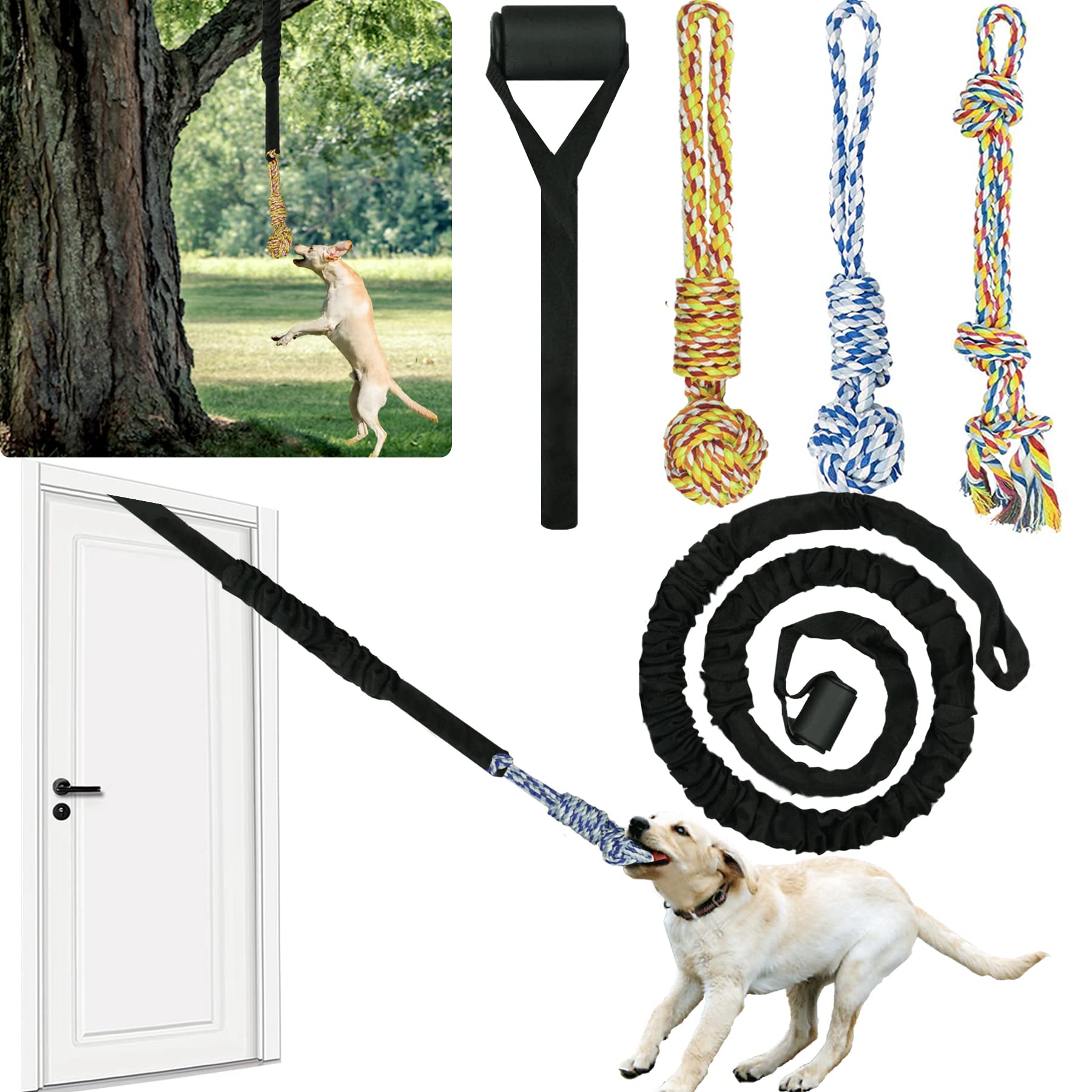 12 foot leather dog leash Leather Dog Leash - Full-Grain Leather, Durable and Comfortable Grip, Secure Design for All Dogs, Made in Canada