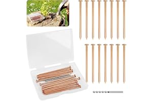Mtxorvix 15 Pack Copper Nails for Killing Trees Stump Root, Copper Nails with Drill, Stump Removal,Tree Hardware
