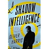 A Shadow Intelligence