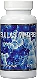 Celulas Madres Stem Cell Enhancer
