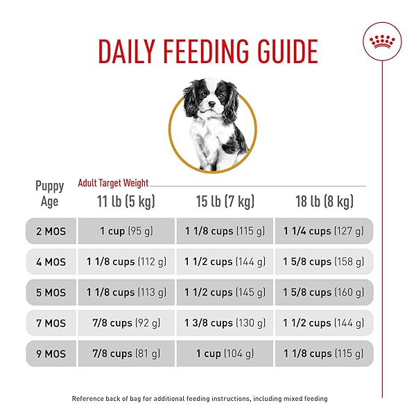 ROYAL CANIN BREED HEALTH NUTRITION CAVALIER KING CHARLES SPANIEL PUPPY DRY DOG FOOD, 3 LB BAG