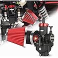 NIBBI PE28 Carburetor with 48mm Air Filters Kit,Upgrade Dirt Bike Performance,Compatible with 200cc-250cc for Apollo, Honda, SSR,Hawk 250 Pit Bike Motorcycles