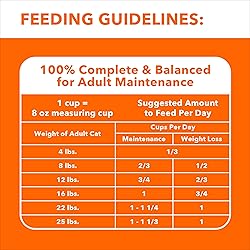 IAMS Proactive Health Indoor Weight Control