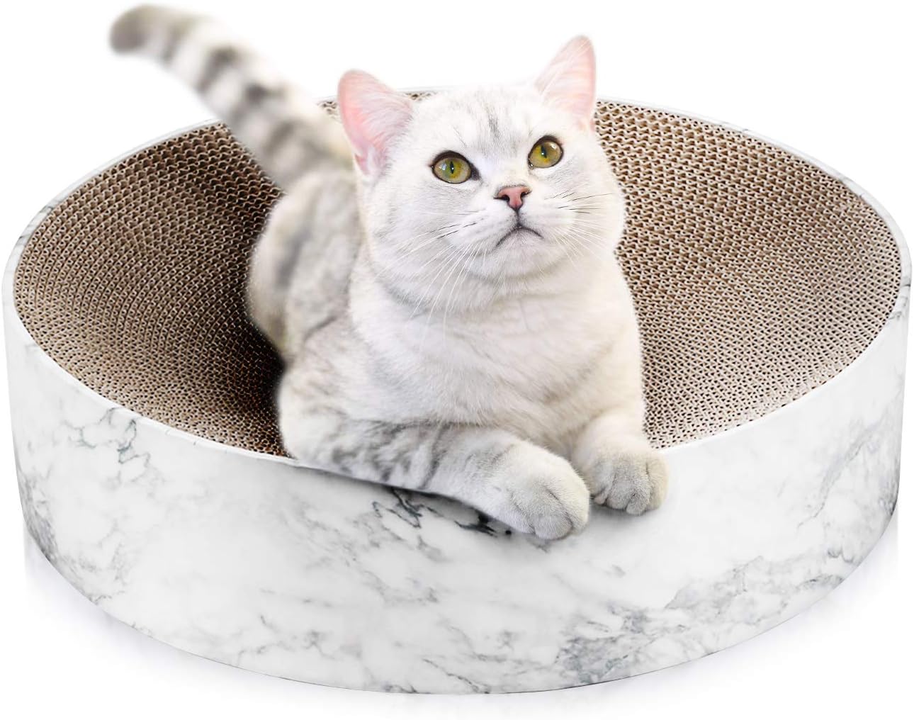 isYoung Cat Scratching Board, Cat Scratcher Lounge Bed, Cat Scratching Pad for Small and Medium Cats : Pet Supplies