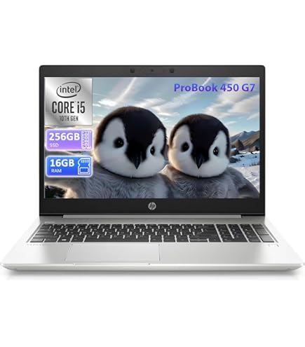 Amazon.com: HP ProBook 450 G6 15.6