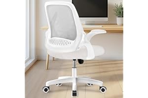NEO CHAIR Office Desk Computer Gaming Ergonomic Chair with Lumbar Back Support Adjustable Height Swivel Wheels Flip-up Arms Mesh Chair for Home or Office (Ivory)