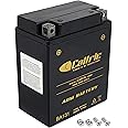 Caltric Agm Battery Compatible with Yamaha Breeze 125 Yfa1 1989 1991 1992 1993 1994 1995-2004