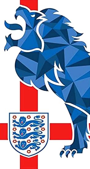 Sous Licence Officielle Angleterre Football équipes Piscine