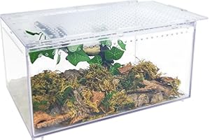 Apatal Reptile Terrarium Enclosure 12"X 8"X 6" Acrylic Tarantula Breeding Box Magnetic Hermit Crab Habitat Tank Transparent Jumping Spider Cage for Insect Snail Amphibians Sling Isopods (2.5 Gallon)