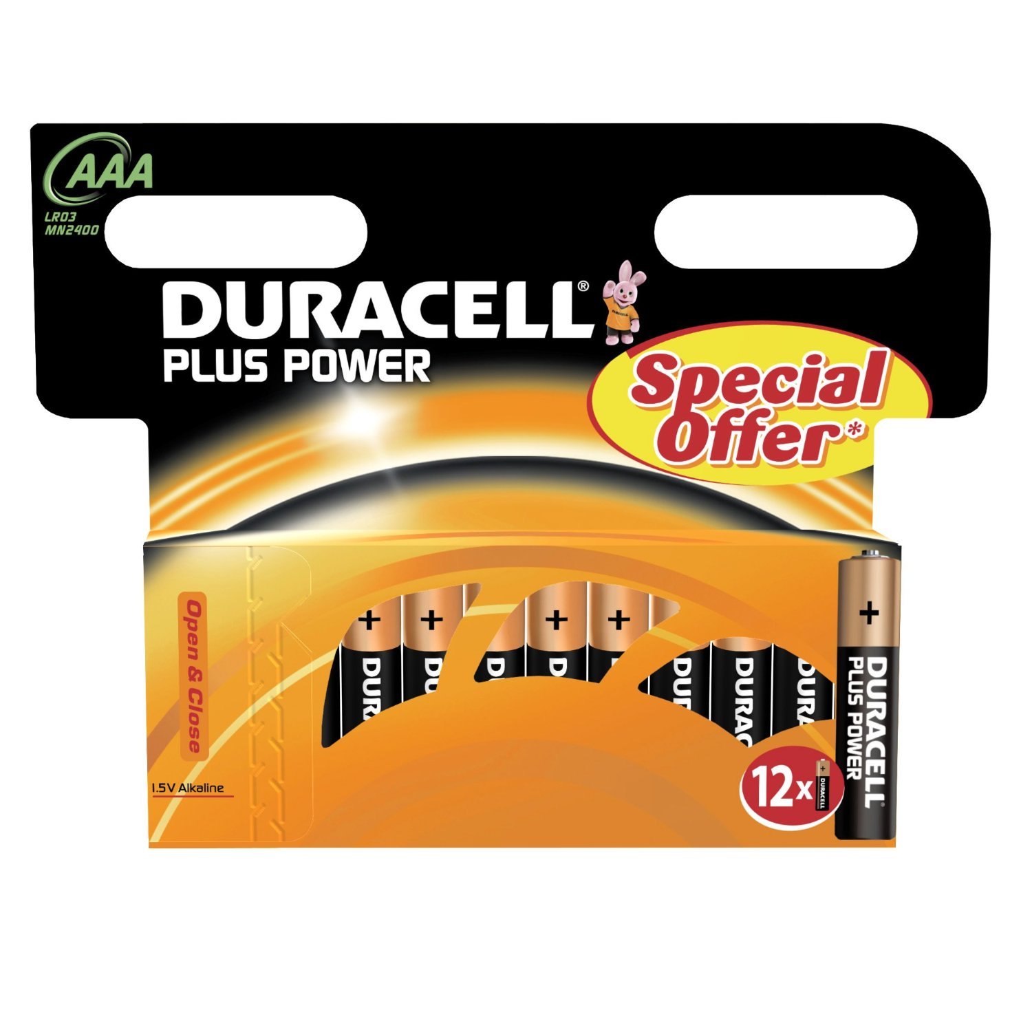 Duracell MN2400B12 household battery Single-use AAA Alkaline 1.5 V – Batteries (Single-Use Battery, AAA, Alkaline, Cylinder, 1.5 V, 12 Pieces)