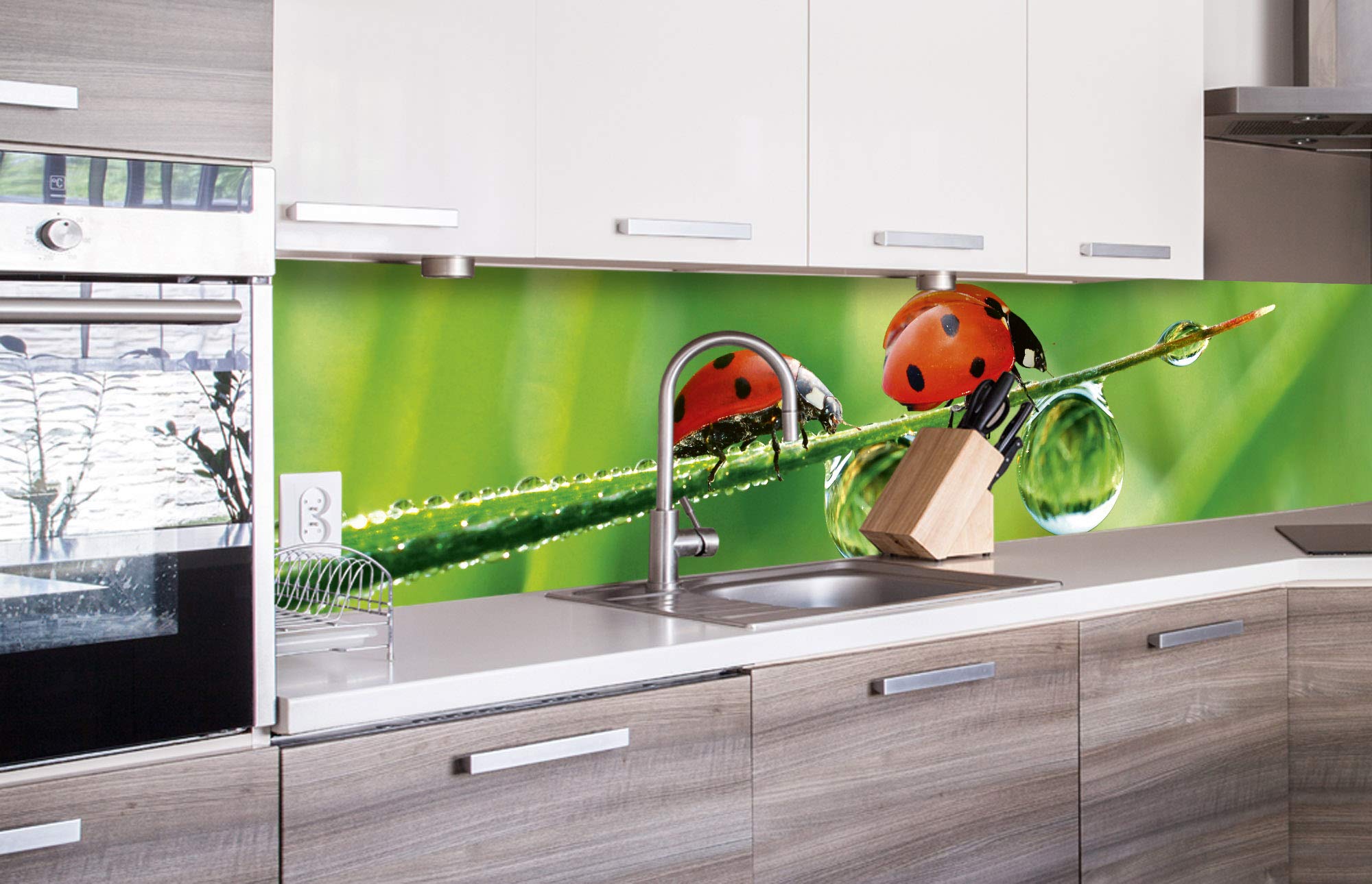 DIMEX LINE Peel and Stick Kitchen Backsplash Sticker Ladybug | Waterproof Decorative Wall Foil for Kitchen | Made in EU - 260.00 × 60.00 cm