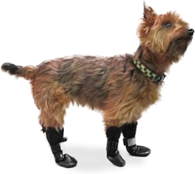 dog water shoes amazon